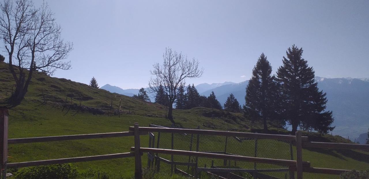Ferienwohnungen Hochzillertal Kaltenbach Buitenkant foto