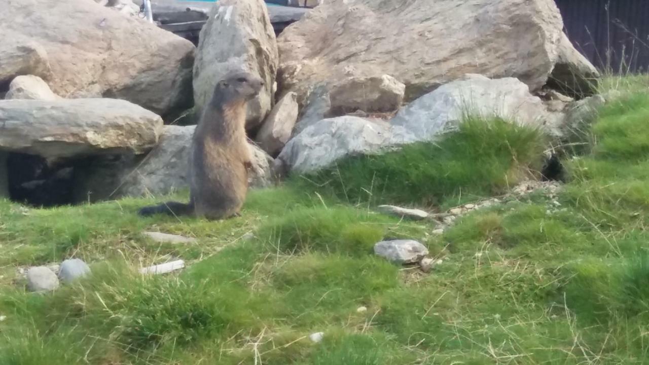 Ferienwohnungen Hochzillertal Kaltenbach Buitenkant foto